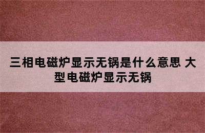 三相电磁炉显示无锅是什么意思 大型电磁炉显示无锅